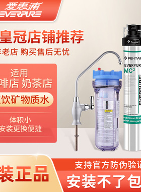 爱惠浦MC2净水器商用奶茶店直饮水大流量家用厨房厨下净水器EF900