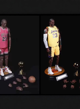 NBA篮球明星湖人队1/6詹姆斯