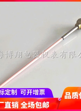 上海博翔 钨铼热电偶 WRW-130 D型C型热电偶