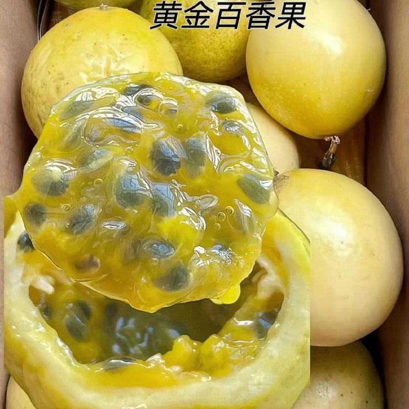 钦蜜9号黄金百香果当季新鲜水果1/3/5/9斤现摘现发黄皮大果