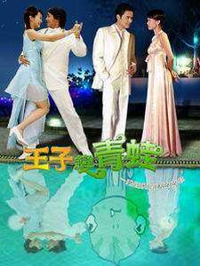 盒装定制/设计  王子变青蛙/嫁个有钱人 陈乔恩 DVD 盘面图案