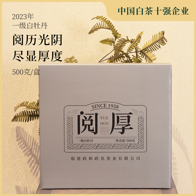 【新茶上市】政和白茶2023年花香白牡丹散茶明前茶叶礼盒装500g