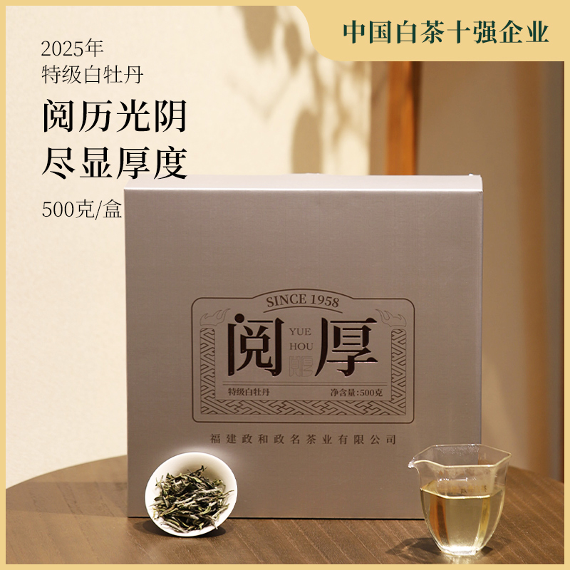 政名白茶2025年春茶新茶预售
