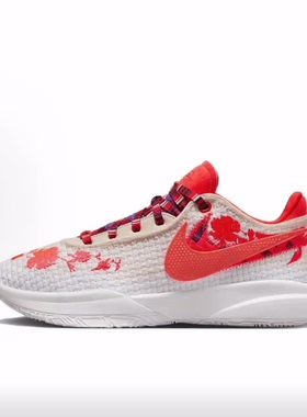 MIMI PLANGE x Nike LeBron 20 EP低帮 篮球鞋 男女同款