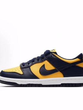 Nike Dunk Varsity Maize  舒适运动  低帮 儿童板鞋 蓝黄