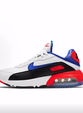 Nike Air Max 2090 EOI 