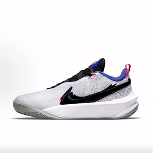 Nike Team Hustle D 10 SE  低帮 儿童篮球鞋 白黑蓝 青少年