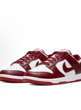 Nike Dunk Retro 