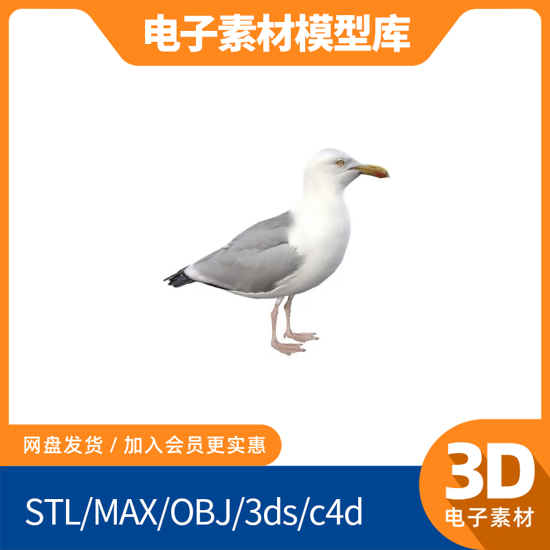 c4d海鸥3d鸟模型obj单体fbx高精度mtl三维设计max模打印素材下载