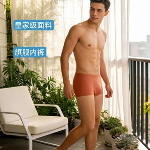 浙锦同款面料100S双面兰精莫代尔抑菌无痕高弹提臂男士平角内裤