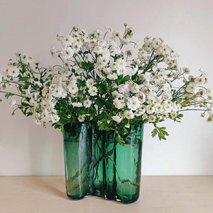 绿色湖泊花瓶玻璃花瓶简约花瓶北欧花瓶