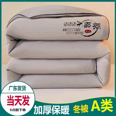 广东发货 冬季加厚保暖大豆被子宿舍单人秋冬被芯A类原棉大豆被褥