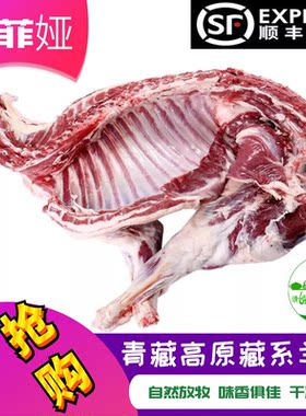 青海清真新鲜羊肉羊排