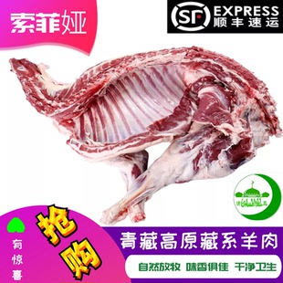 青海清真新鲜羊肉 西宁手抓羊肋排高原藏系正宗西北生鲜羊肉羊排