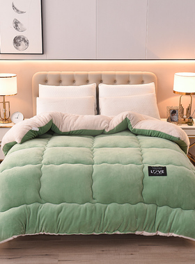 2025新款牛奶绒羊羔绒冬被被子加厚保暖被芯春秋被