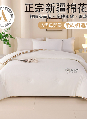 2025新款SHUIXlNG棉花被母婴级A类被子加厚保暖单人被子