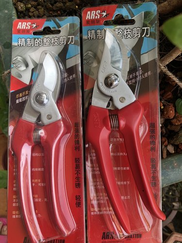日本进口ARS爱丽斯修枝剪爱丽丝剪枝剪刀果树修剪树枝园艺园林剪
