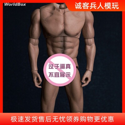 现货WorldBox 1/6  AT017   耐操素体 无脖宽肩肌肉版