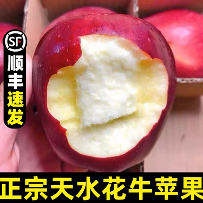 顺丰甘肃天水正宗花牛苹果直销蛇红果婴宝宝老人粉面沙脆新鲜水果