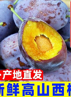 甘肃高山新鲜西梅正宗水果甜大果李子蓝蜜国产甜西梅应季现摘整箱