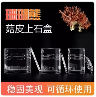 珊瑚熊sps软件珊瑚基座海缸繁殖防菇皮丢失菇皮革上石盒珊瑚上石