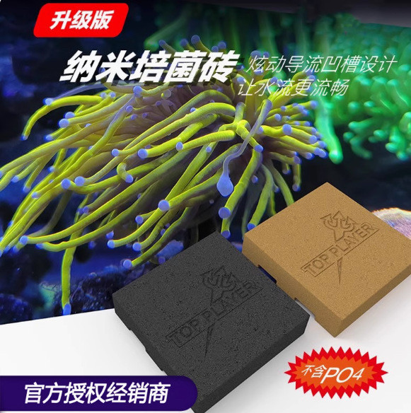 顶J玩家神砖纳米培菌砖过滤高透水淡海水鱼缸滤材硝化细菌屋无PO4