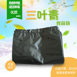 药材育苗袋 三叶青塑料育苗袋 营养袋 种植袋 优质全新料育苗容器