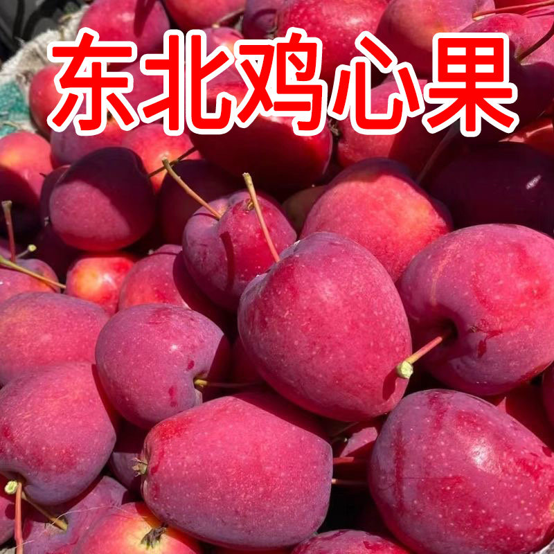 正宗东北鸡心果海棠果产地直发