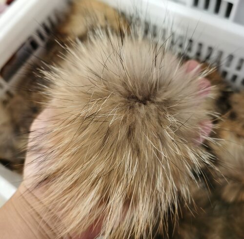 超大貉子毛球真貉子皮草18厘米大毛球帽子用毛球挂件饰品按扣毛球