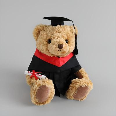 毕业公仔熊学士服硕士熊博士帽娃娃公仔幼稚园香港大学毕业礼物