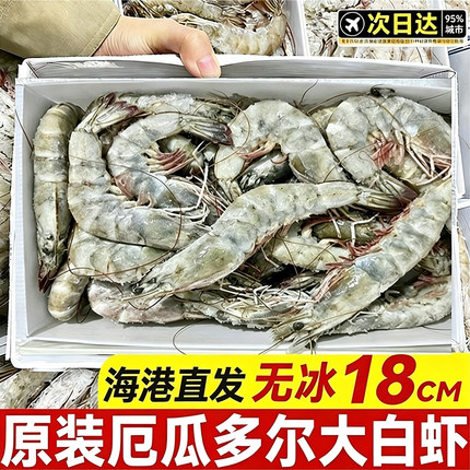 厄瓜多尔原装进口大海白虾鲜活冷速冻特大号海虾鲜活超大特大深海