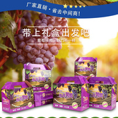包邮 厂家直销批发葡萄包装 盒水果礼盒水果礼品盒箱子5 10斤中秋