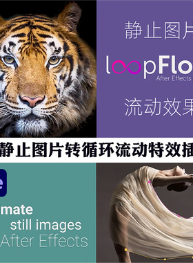 AE插件静态图片流动转循环动态画视频效果中文汉化版Win/Mac2025