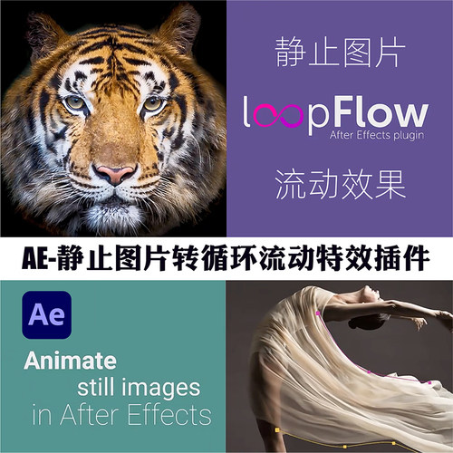 AE插件静态图片流动转循环动态画视频效果中文汉化版Win/Mac2025
