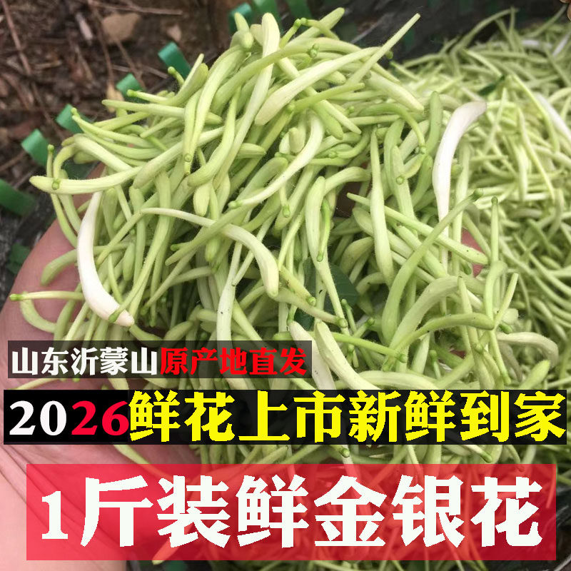 1斤带绒毛新鲜金银花婴儿洗澡清热去火野生纯花苞泡水中药材干货
