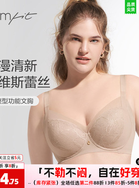 安莉芳旗下Comfit文胸女大胸收副乳上托聚拢防垂舒适内衣CB00154