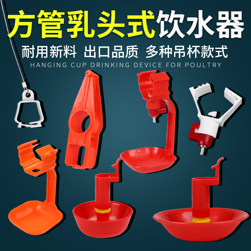 雏鸡水碗方管钢珠饮水器乳头式