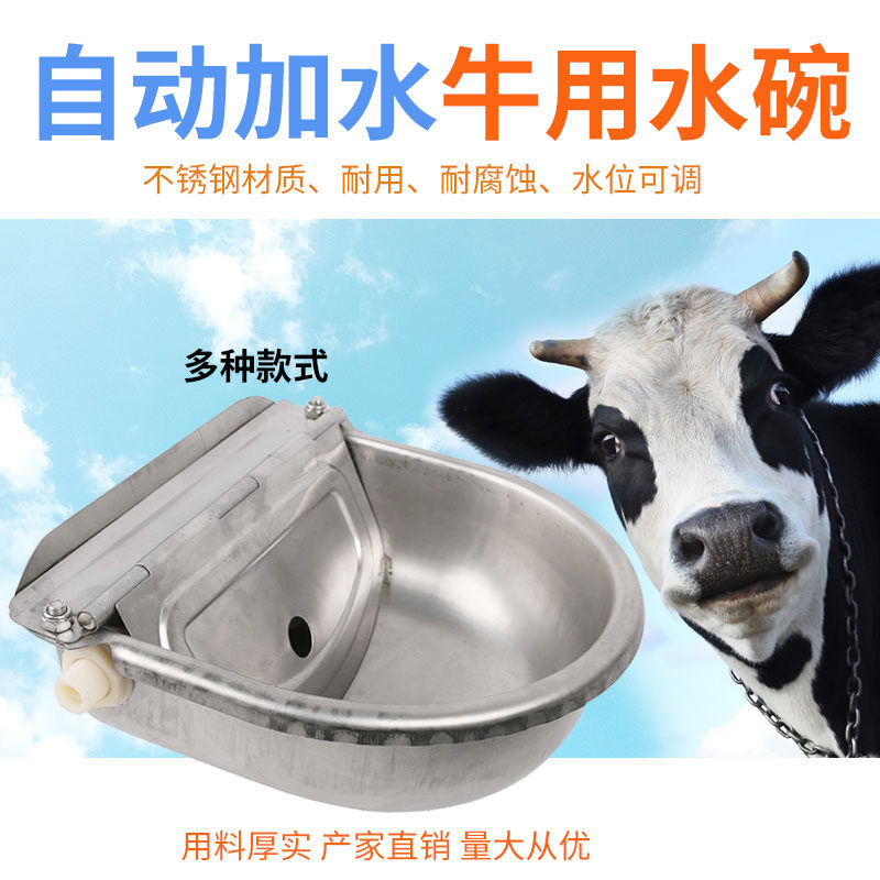 牛用喂饮水槽自动进水喂水碗水槽自动饮水器牛马饮水器饮水槽