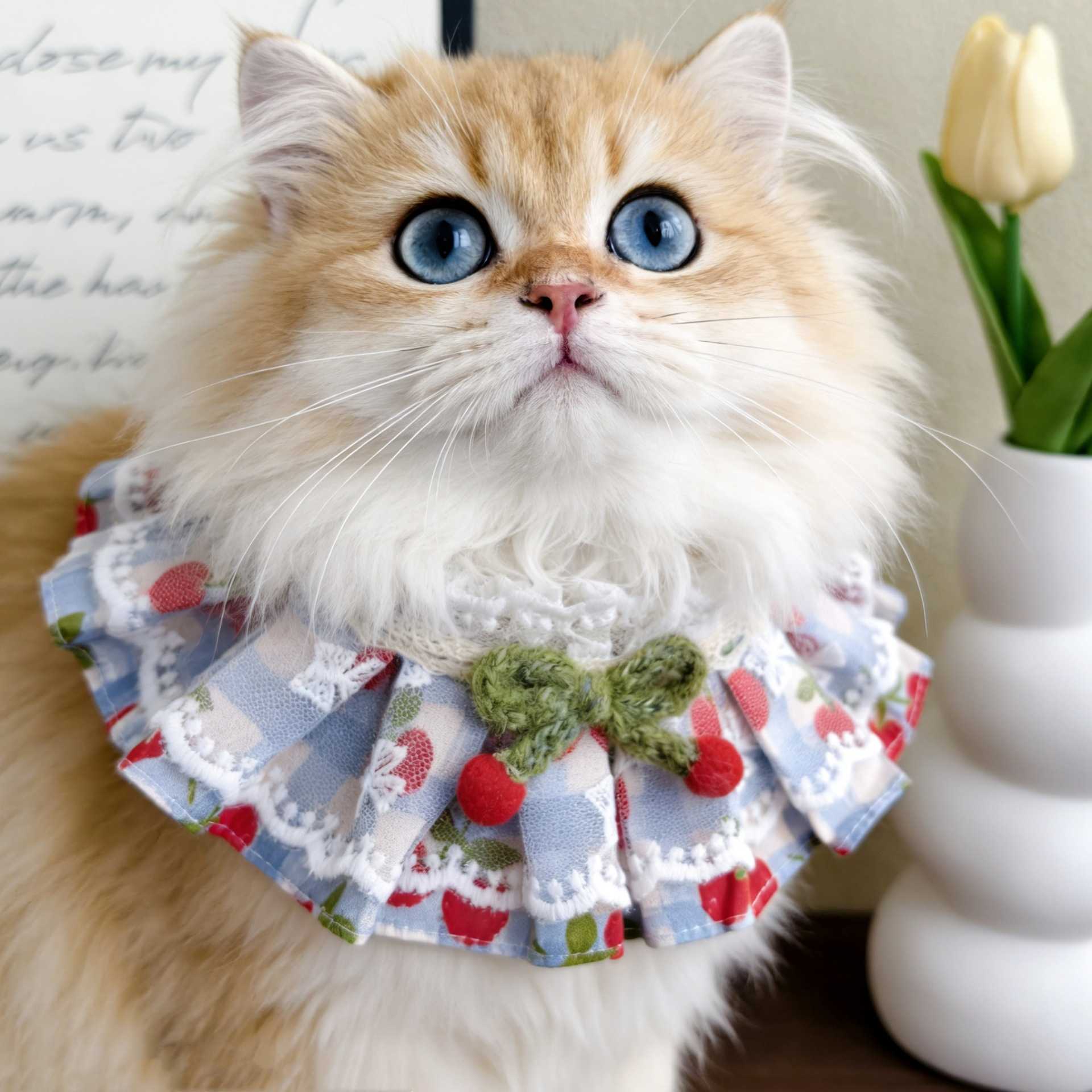 猫咪草莓蕾丝花边围脖 布偶金渐层英短蝴蝶结口水巾宠物装饰项圈