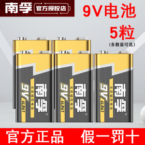 南孚9v电池6lr61方块报警器九伏