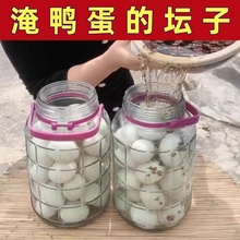 淹鸭蛋的坛子腌鸡蛋的罐子泡菜坛子腌咸菜家用瓶子加厚密封储物罐