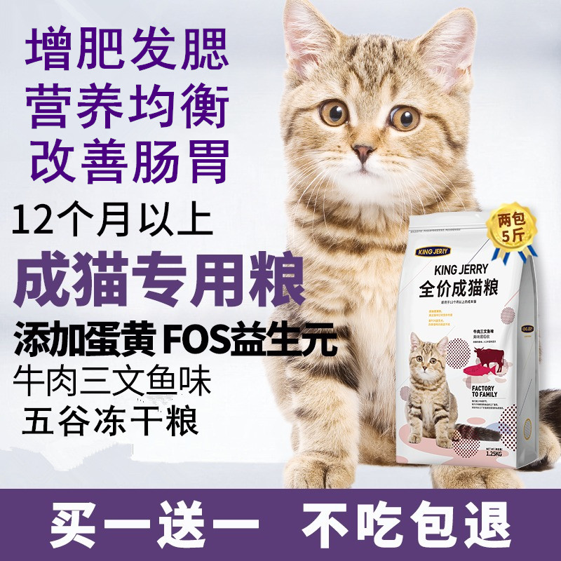 KingJerry猫粮专用短美短成年