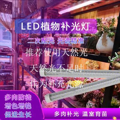 植物红蓝灯质量怎么样 植物红蓝灯口碑怎么样 小麦优选