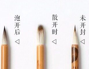 blackmice黑鼠昼颜设色