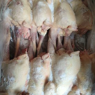 新鲜冷冻老母鸡淘汰红毛蛋鸡煲汤卤味饭店食材20斤1箱8/9只近包邮