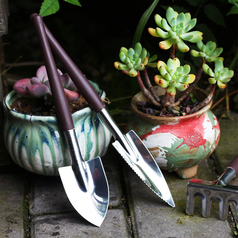多肉种花工具套装家用园艺养花肉肉种植铁锹铁铲小土铲不锈钢铲子,鲜花速递/花卉仿真/绿植园艺,铲子,淘宝优惠券,粉丝福利购,淘宝优惠卷