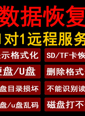 电脑硬盘数据恢复远程服务误删除提示格式化U盘sd卡照片文件修复