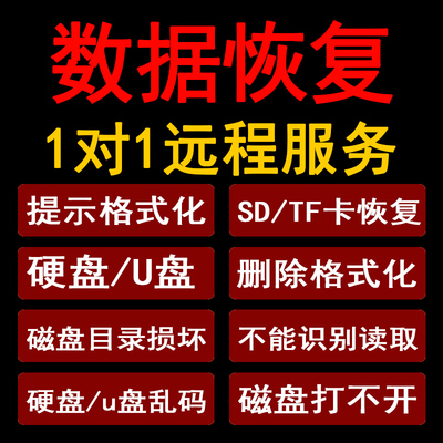 电脑硬盘数据恢复远程服务误删除提示格式化U盘sd卡照片文件修复
