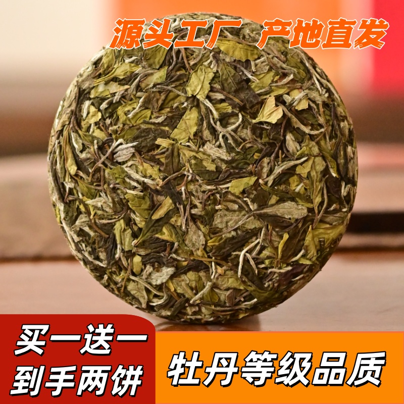 2025暮春寿眉松压饼高山福鼎白茶