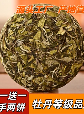 2025暮春寿眉饼正宗福鼎白茶管阳高山生态茶松压花香雨前日晒寿眉